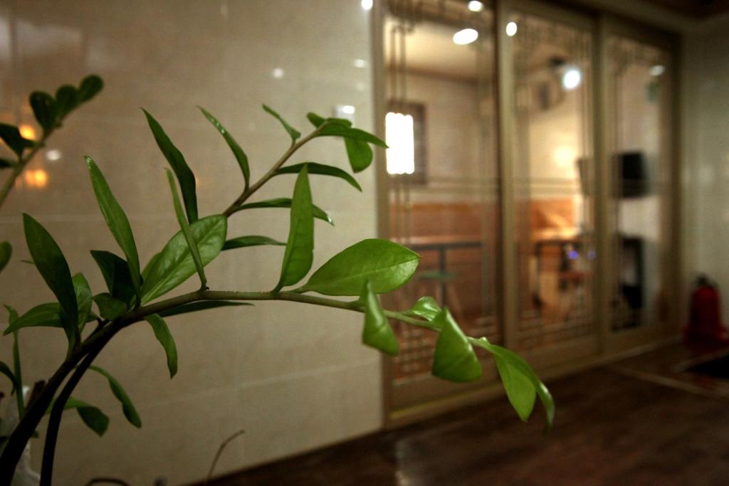 Fotografie z fotogalerie ubytování K-POP Residence Myeongdong 1 v Soulu