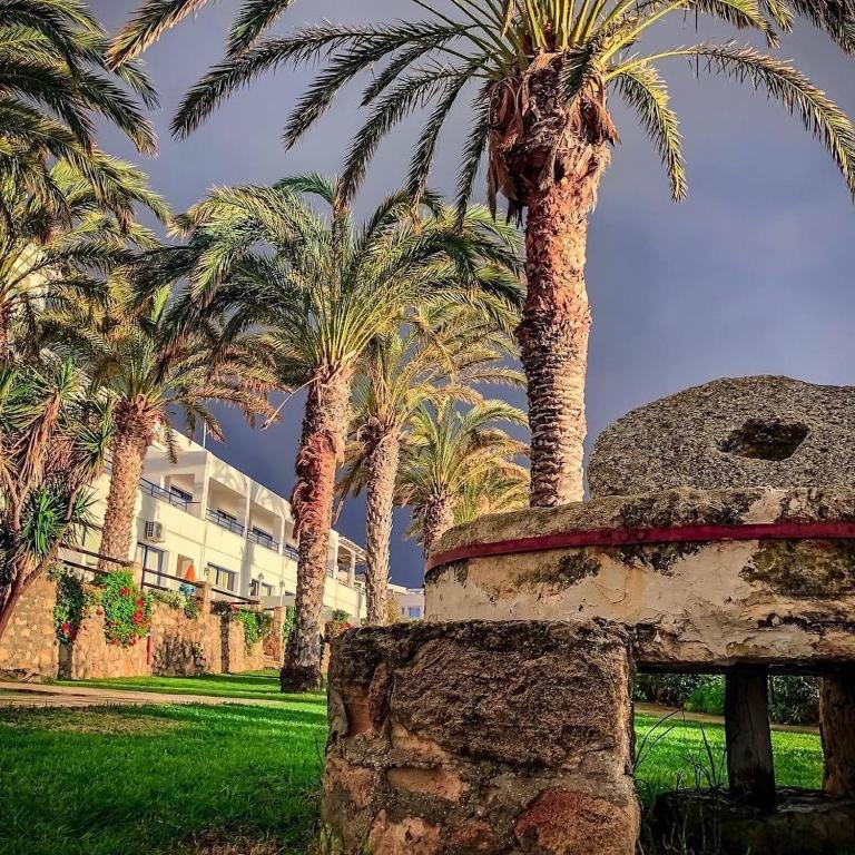 a group of palm trees in front of a building at Vrachia Beach Hotel & Suites - Adults Only in Paphos