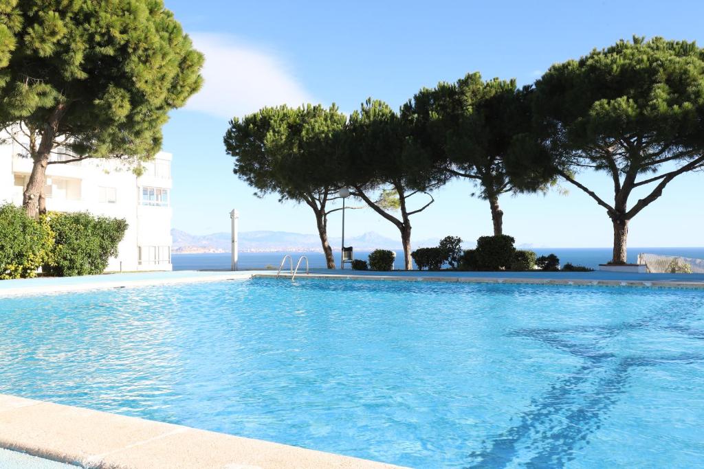 a swimming pool with trees and the ocean in the background at MyFlats-Deluxe Monte Faro in Gran Alacant