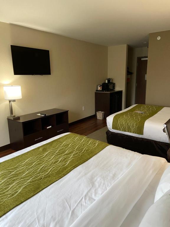 Comfort Inn Connellsville Riverview - 河景大号床间 - 带2张大号床 - 禁烟