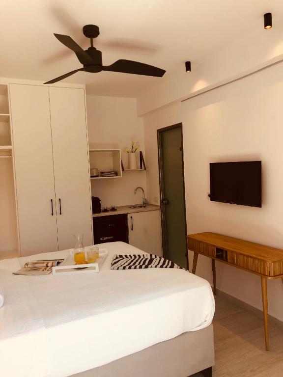 TV a/nebo společenská místnost v ubytování Hotel Acropol
