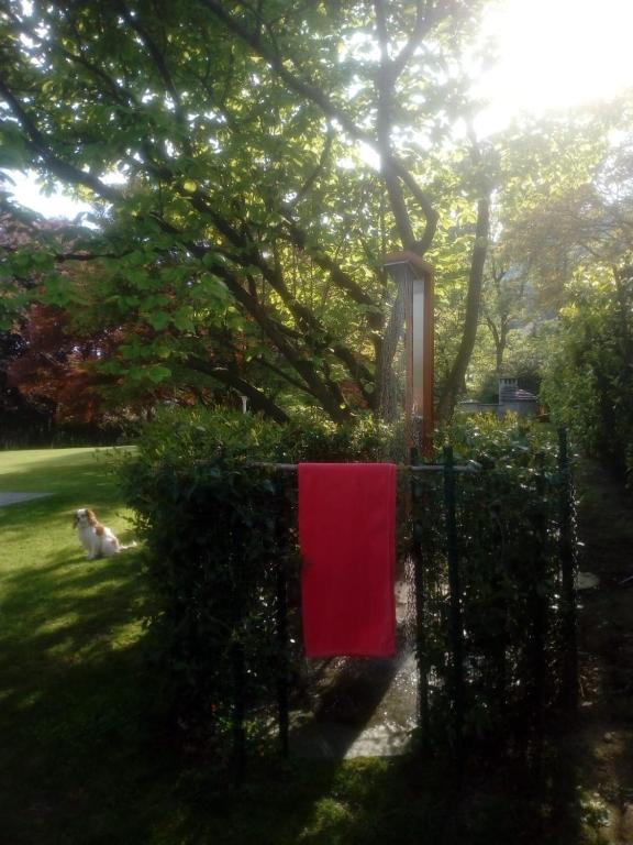 Ogród w obiekcie Villa Alice