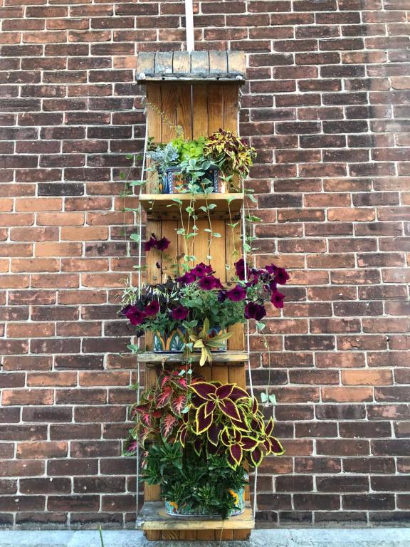 a wooden shelf filled with potted plants on a brick wall at Loyalist Lofts in Picton