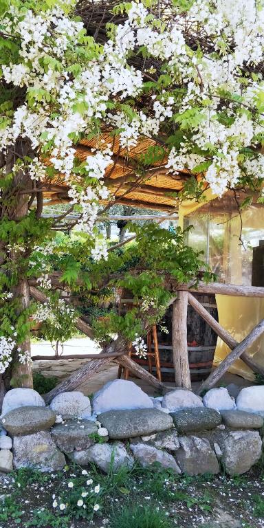 Giardino 21 Marzo - 14