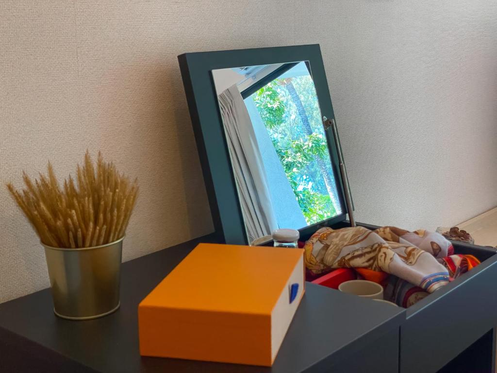 9+ Mirror Moving Box