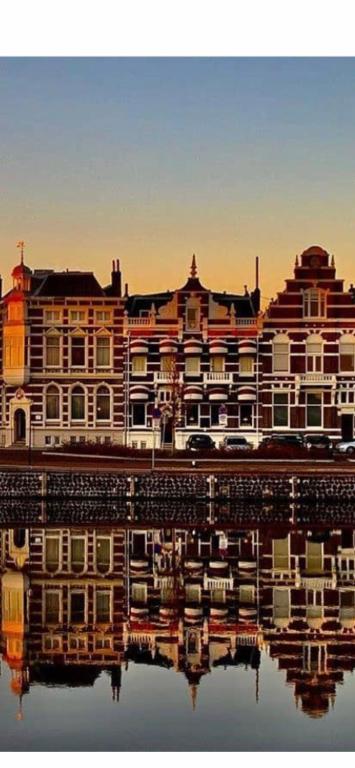 Budget Hotel Le Beau Rivage - Resim 14