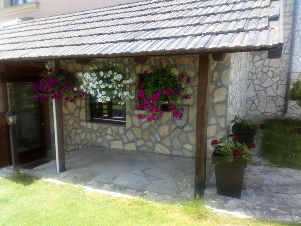 Apartments Novakovic - Apartment - Ground Floor
