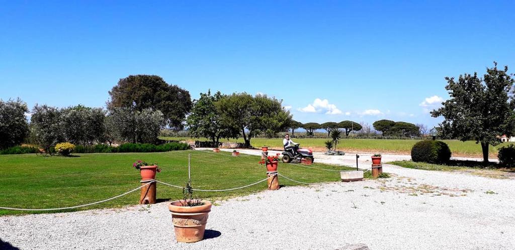 a group of fire hydrants in a park at Agriturismo Ristorante Monte Argentario in Monte Argentario