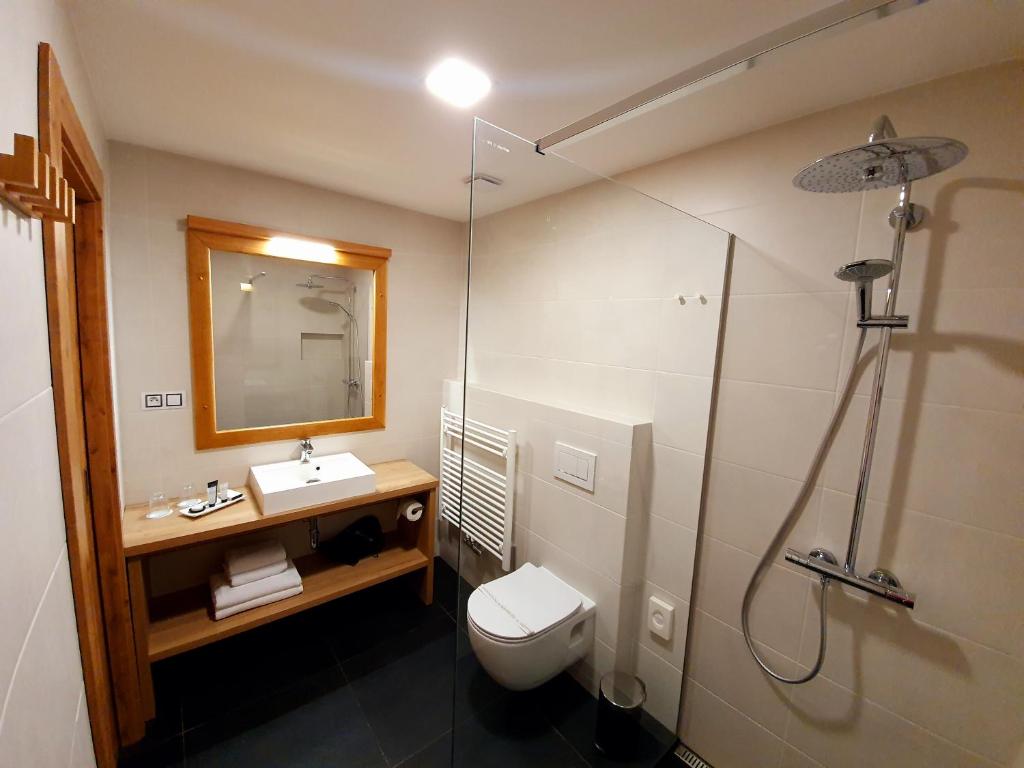 a bathroom with a toilet and a sink and a shower at Hotel KORTUS in Jetřichovice