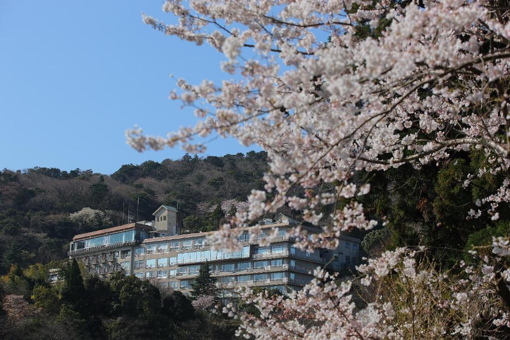 a building on a hill withakura trees in the foreground at Senpokaku in Toba