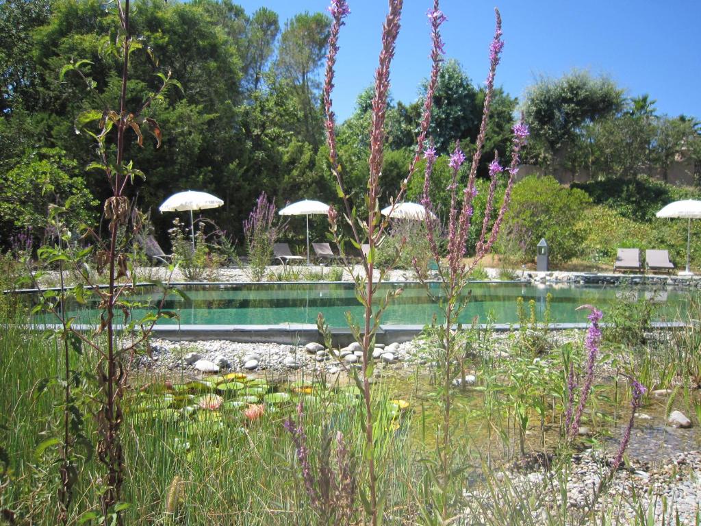 un jardín con una piscina con sombrillas y flores en La Villa Les Hespérides en Grimaud