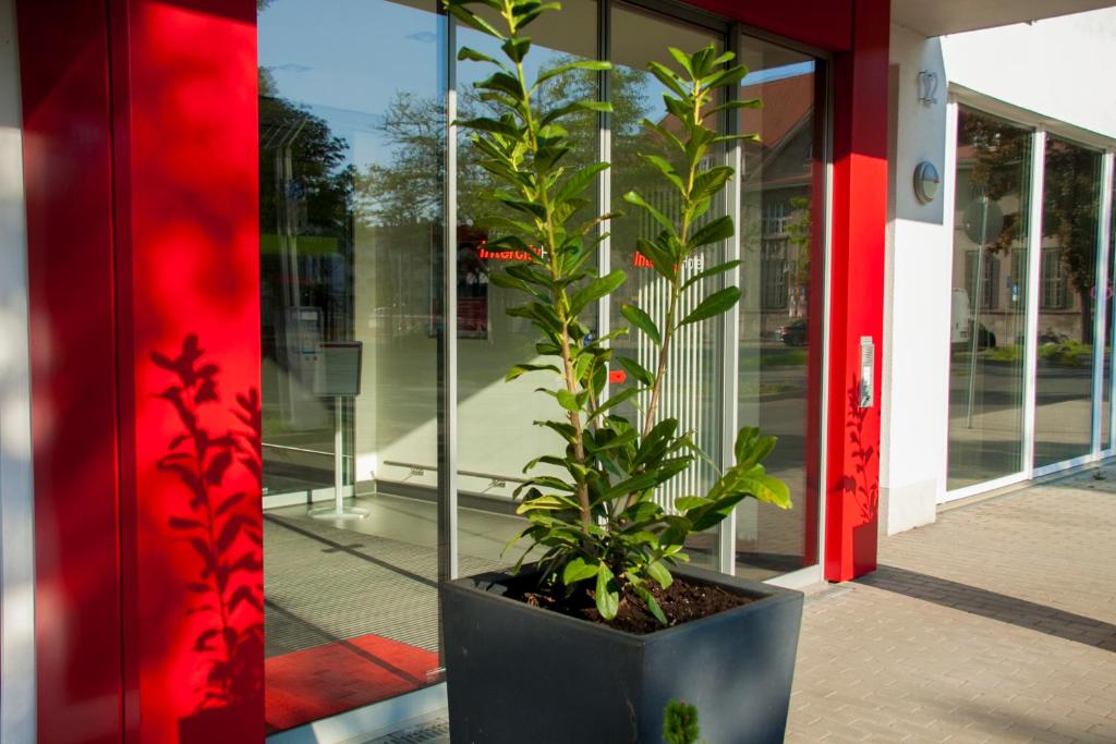 Zahrada ubytování IntercityHotel Darmstadt