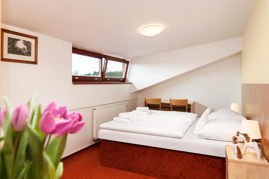 Hotel Panska Licha - Resim 17