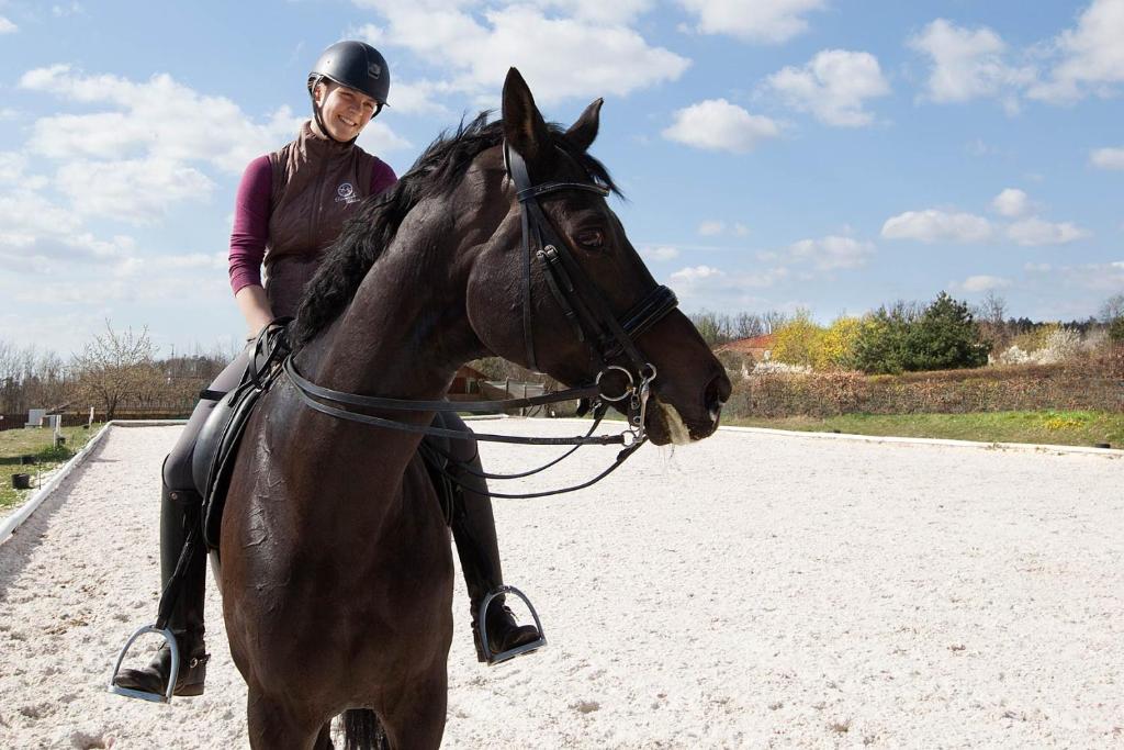 Hotel Panska Licha - Resim 21