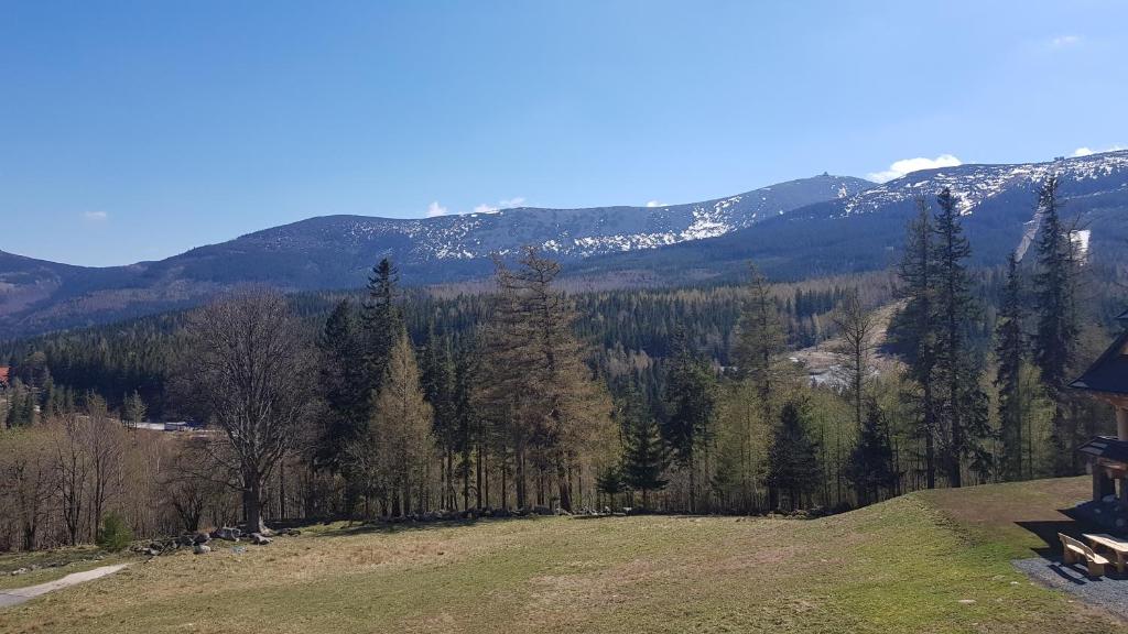 Príroda v okolí apartmánu