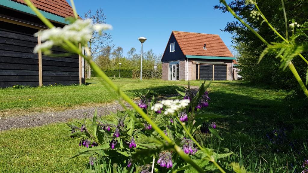 un patio con una casa y flores en el césped en De Rakken, en Woudsend