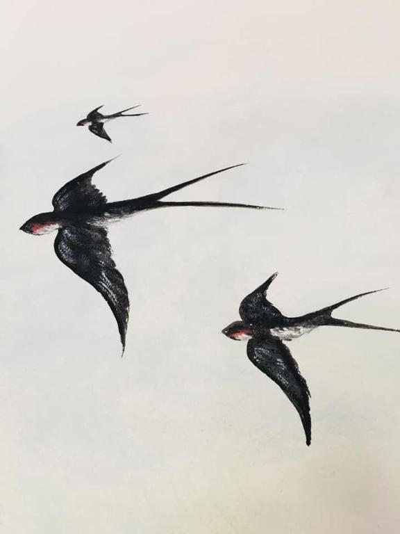 Agriturismo La Perlara - Adults Only - 12