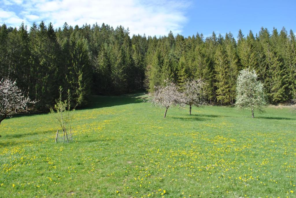 Příroda nedaleko apartmánu