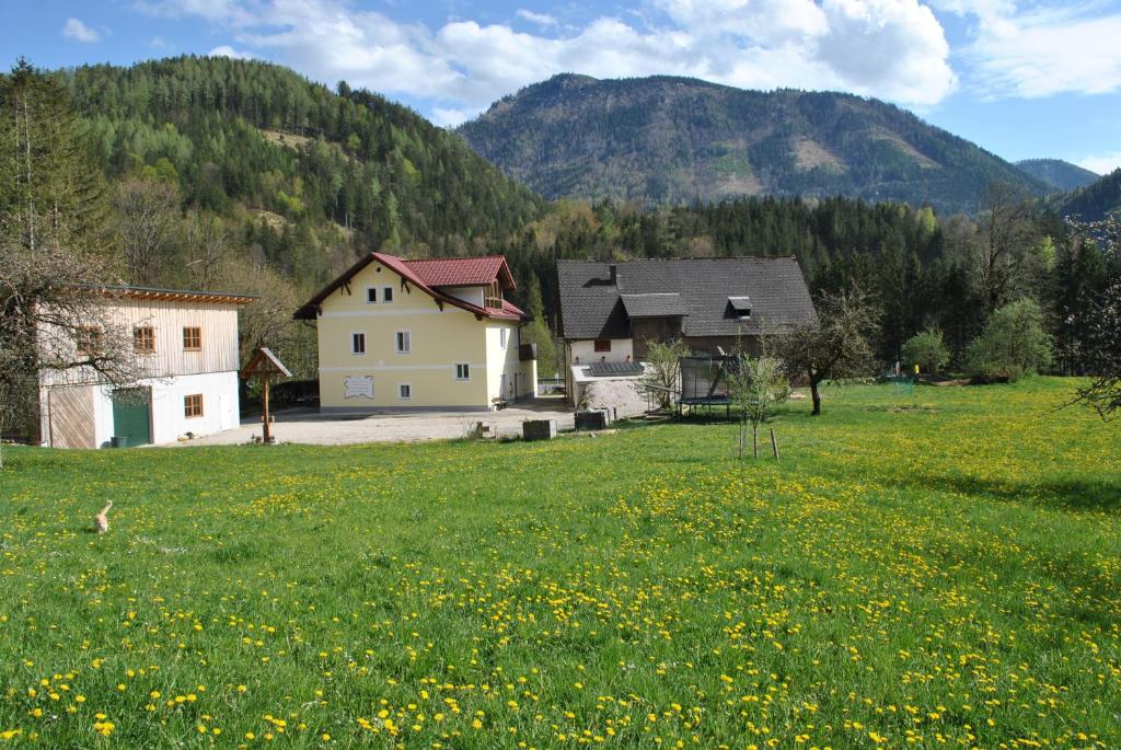 una casa en medio de un campo de flores en Ferienwohnung Leitner, en Lunz am See