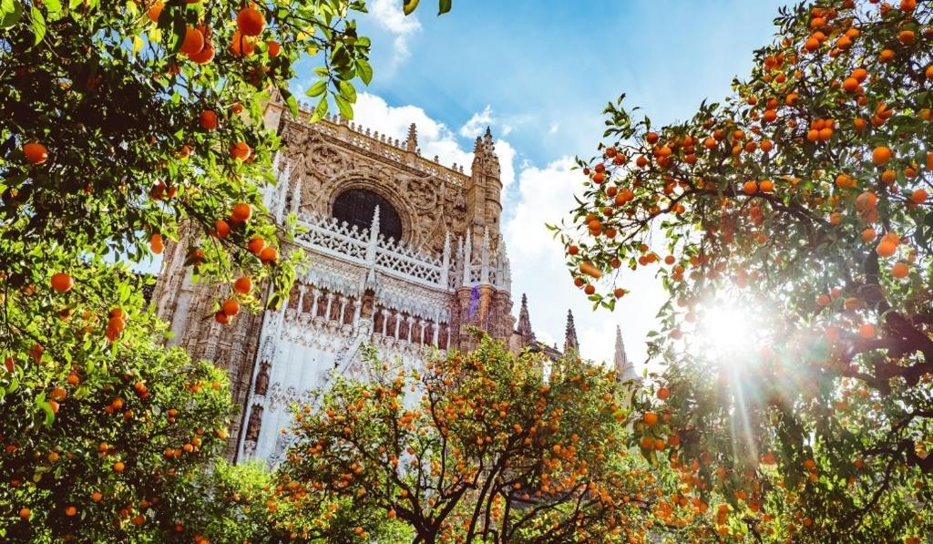 Epicenter, Sevilla – Precios actualizados 2023