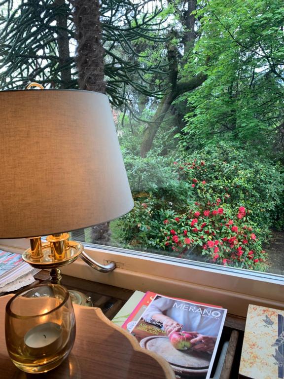 Zahrada ubytování Hotel Zima