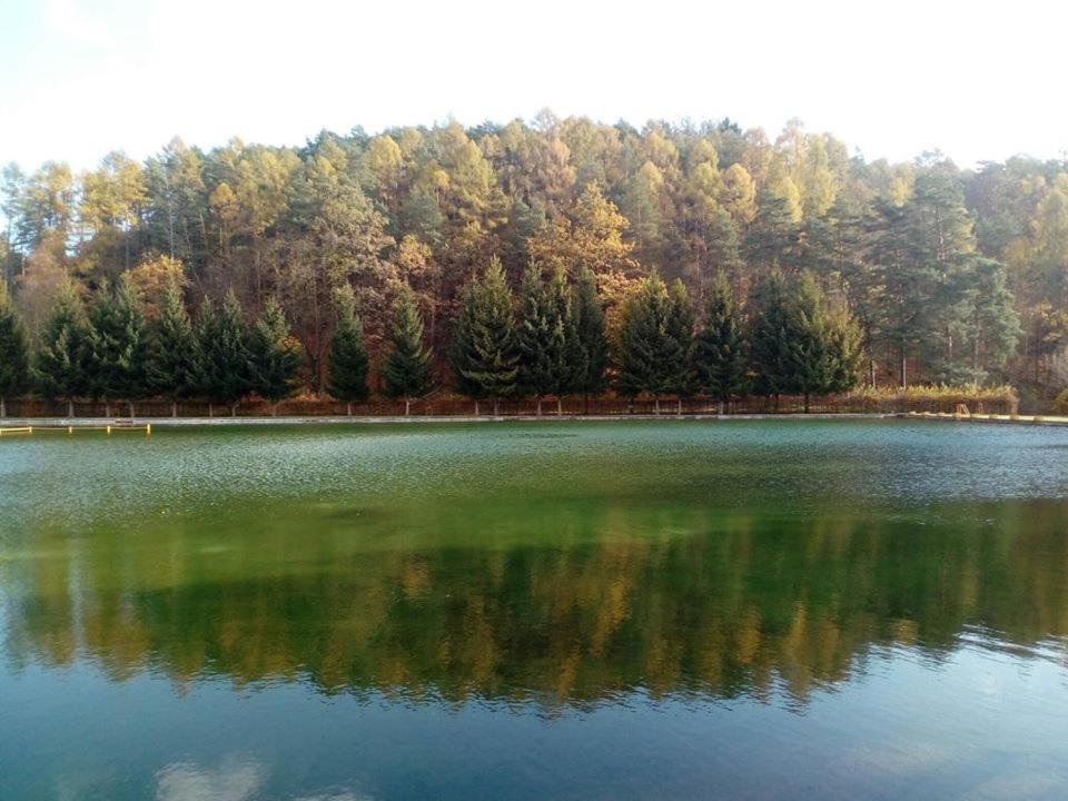 Příroda nedaleko penzionu