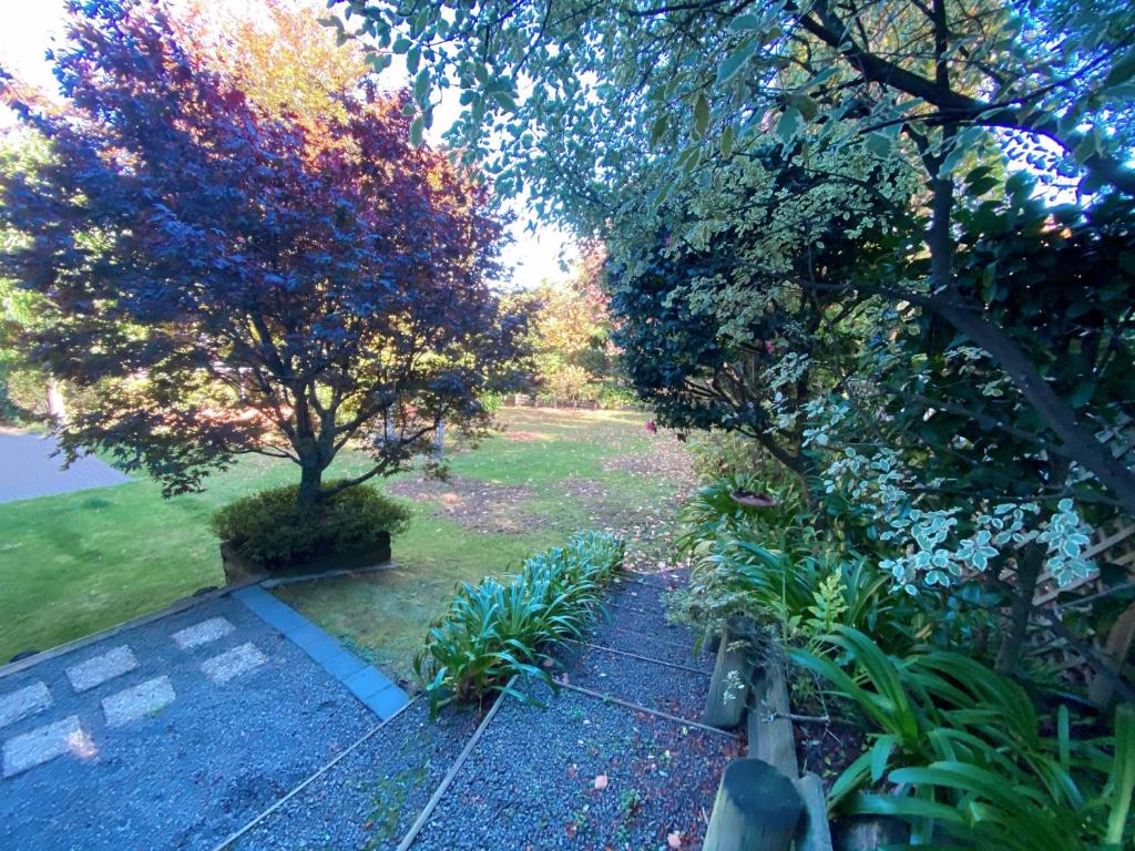 Lake view family Lodge up tp 14 people - Resim 22