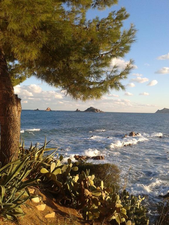 a view of the ocean from under a tree at Casa Turusele in Santa Maria Navarrese