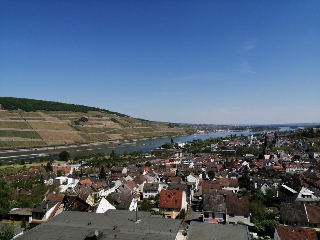 a view of a town with a river at Großes PANORAMA APARTMENT mit POOL in Bingen am Rhein