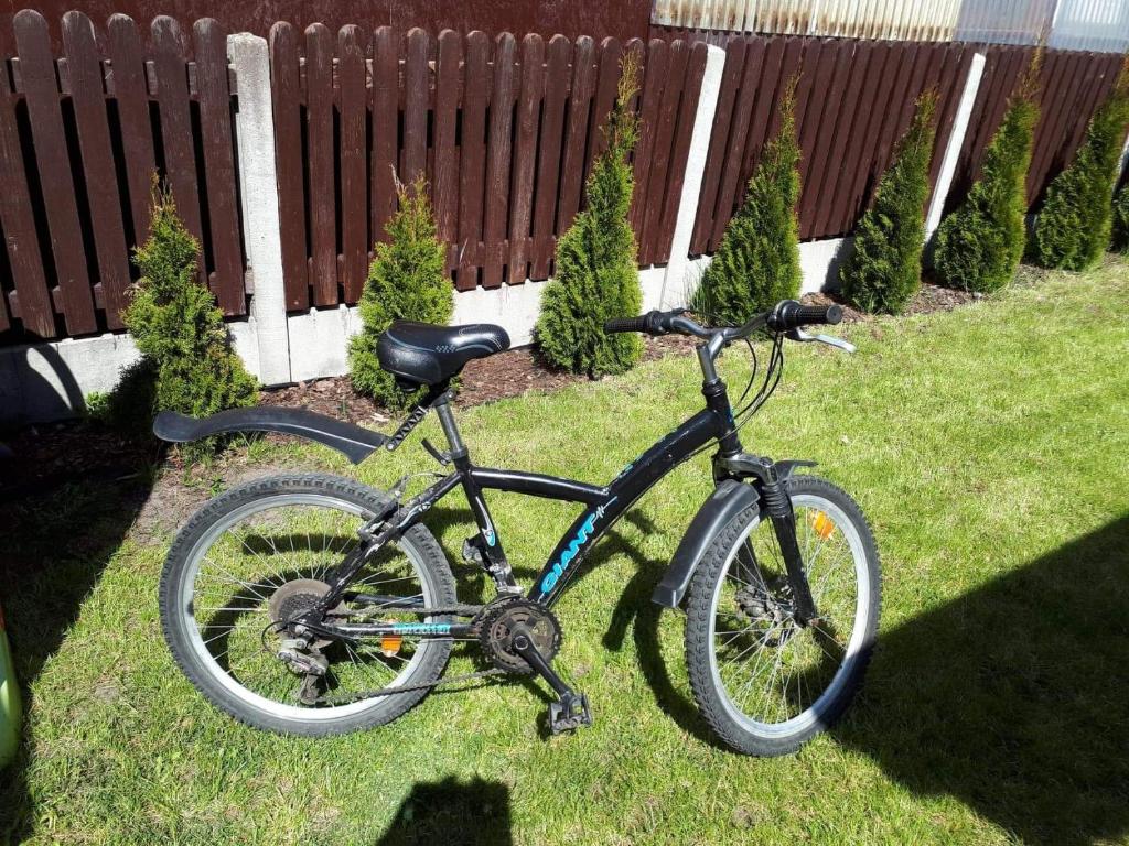 Jazda na bicykli v okolí ubytovania Domek letniskowy Ania