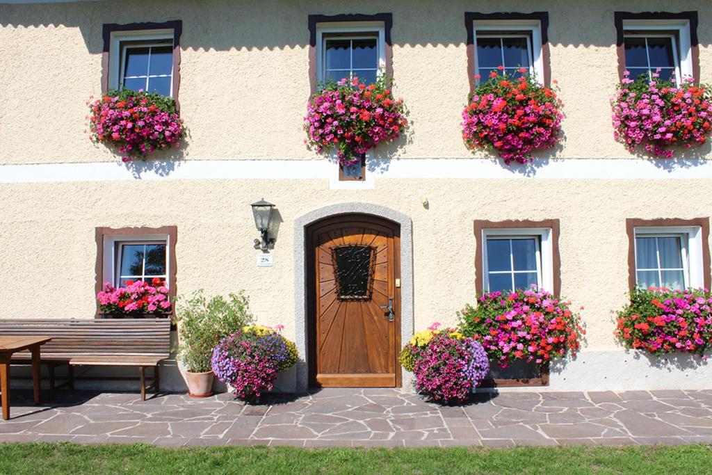 A garden outside Plombergbauer