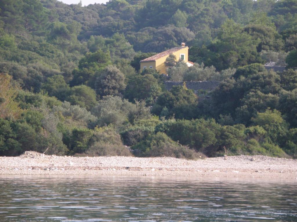 une maison sur une colline à côté d'une masse d'eau dans l'établissement Lošinj house Robinzon Studenčić Island Lošinj, à Čunski
