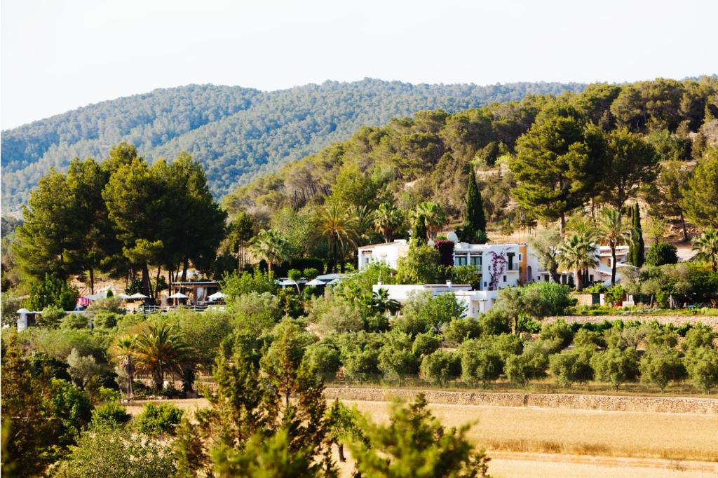 un village avec des arbres et une montagne en arrière-plan dans l'établissement Cas Gasi, à Santa Gertrudis de Fruitera