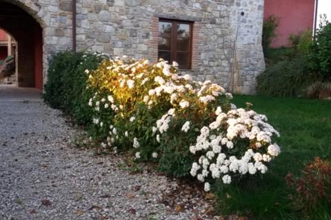 Vonkajšia záhrada v ubytovaní Casa Lisa al Borgo