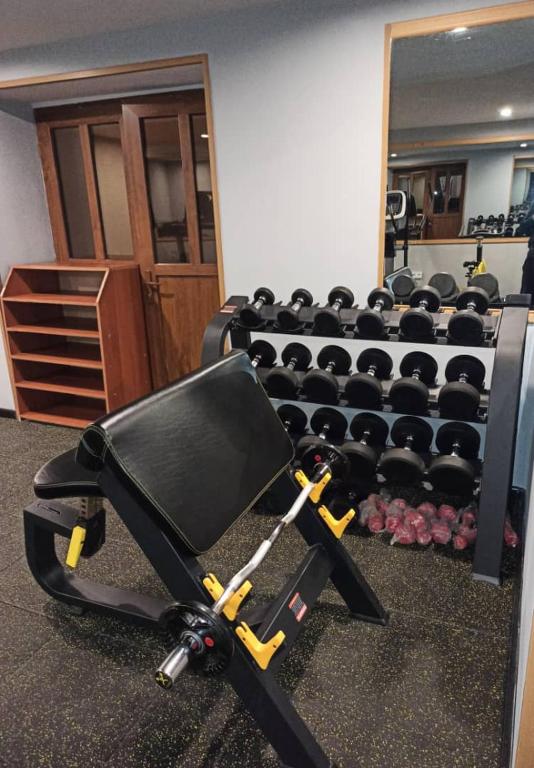 Fitness centrum a/nebo fitness zařízení v ubytování Pamir Palace