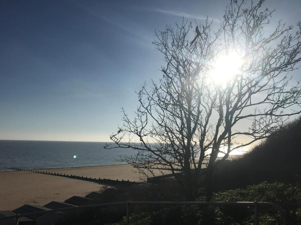 a tree in front of a beach with the sun at Frinton Escapes in Frinton-on-Sea