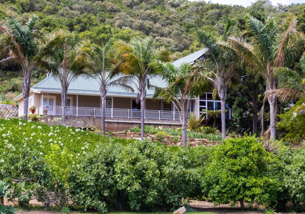Κήπος έξω από το Wilderness Farmhouse