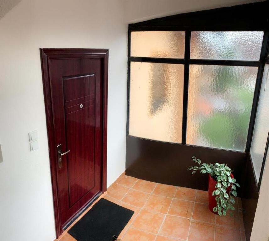 a room with a door and a potted plant at Modern Apartment 2 in Brčko