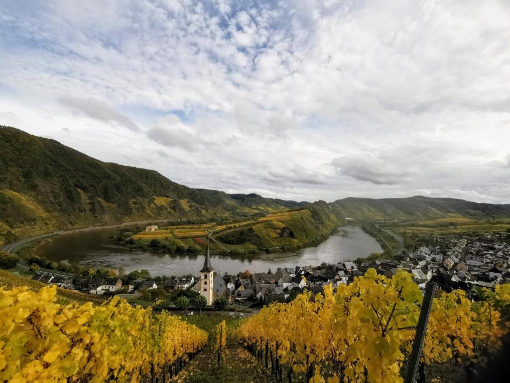 a view of a town with a river and a city at Seppl in Bremm