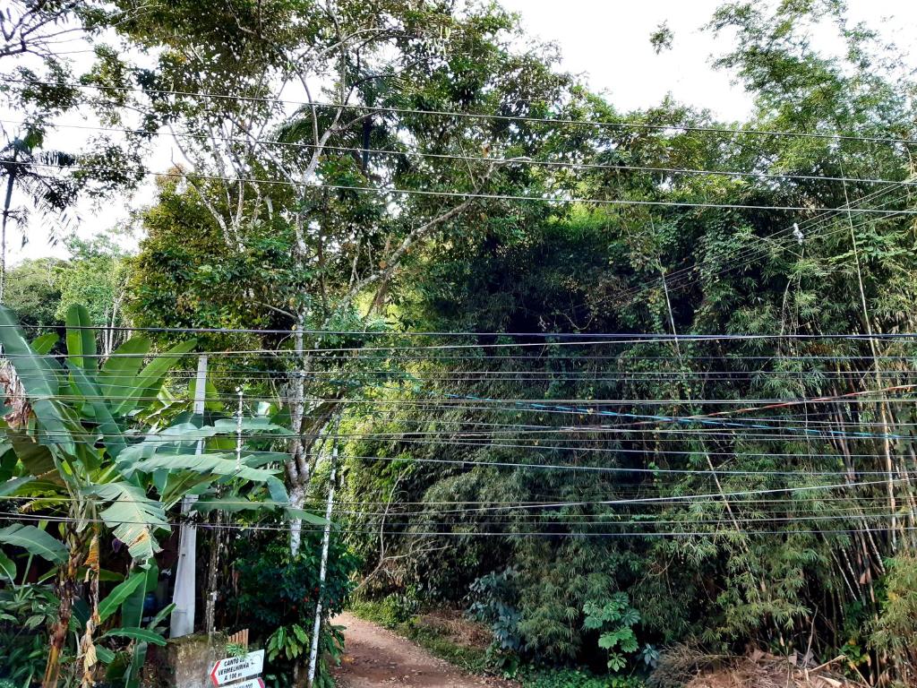  Suíte Som do Mar da Vermelha do Centro