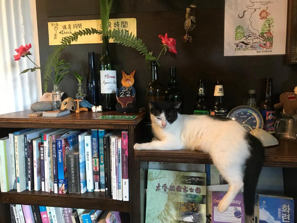 a black and white cat laying on top of books at Bridge12th B&amp;B in Yanliau