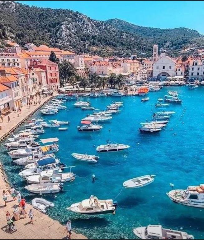 Príroda v okolí apartmánu