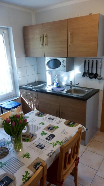 Kuchyň nebo kuchyňský kout v ubytování Bernstein Appartements