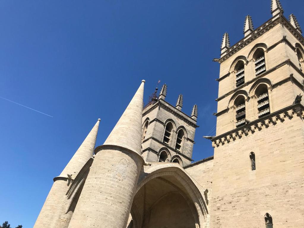 a building with two towers and an archway at Duplex with a view in Montpellier