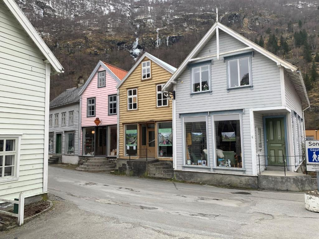 una fila de casas sentadas al lado de una calle en Old town boutiqe apartments/ Gamle Lærdalsøyri boutique leiligheter, en Lærdalsøyri