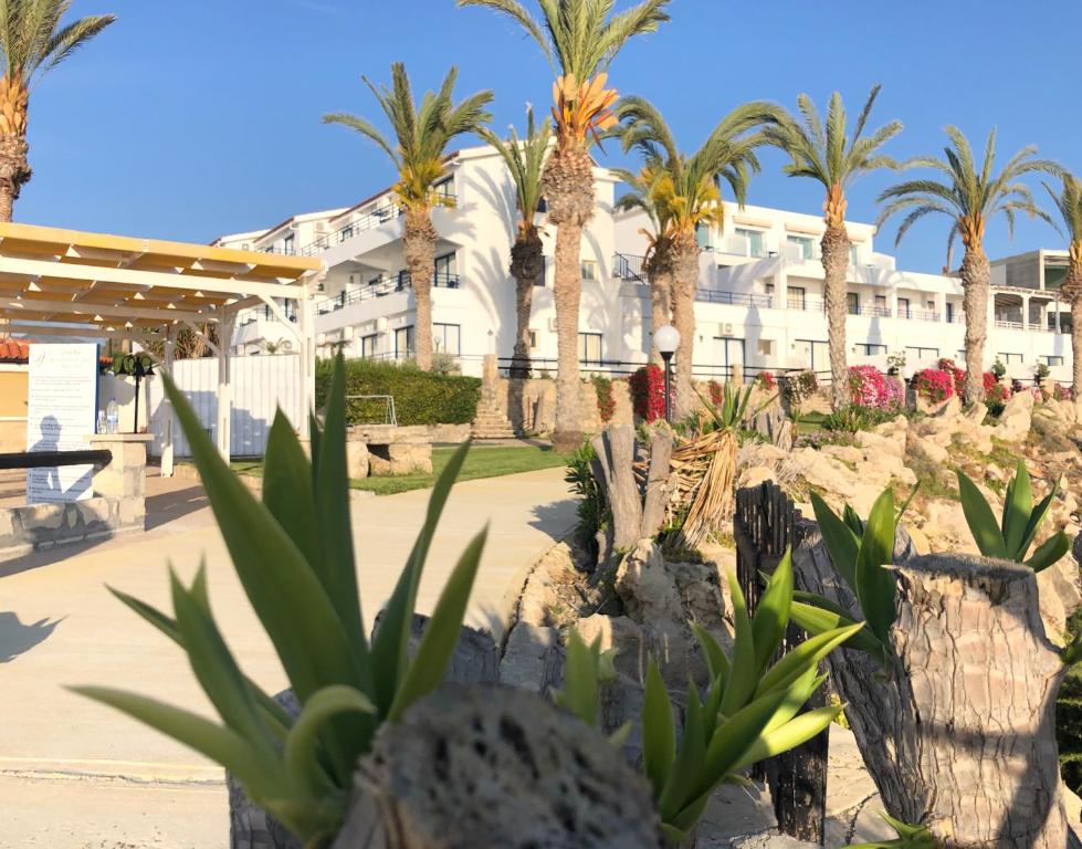 a resort with palm trees and a building at Vrachia Beach Hotel & Suites - Adults Only in Paphos