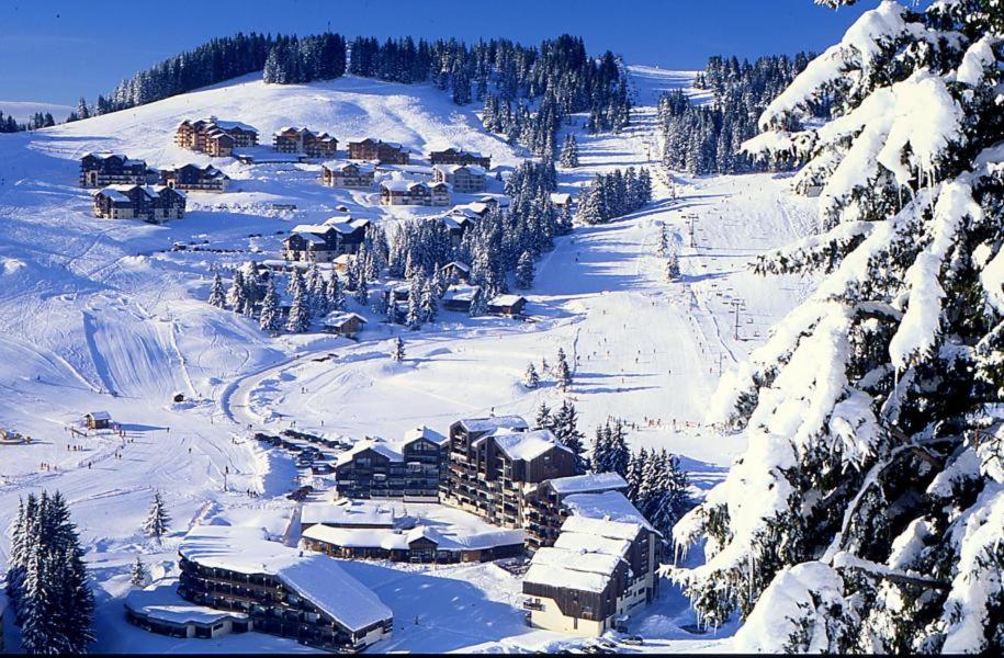 a ski lodge on a snowy mountain with snow covered trees at Le lodge by Lilou in Manigod