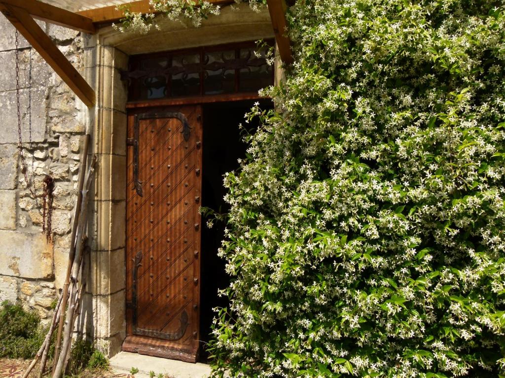 een toegang tot een gebouw met een houten deur bij maison d'art et d'autres in Champagne