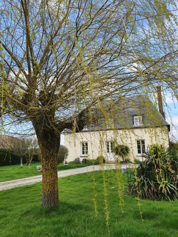 uma árvore em frente a uma casa branca em au Petit Paradis em Sainte-Gauburge-Sainte-Colombe