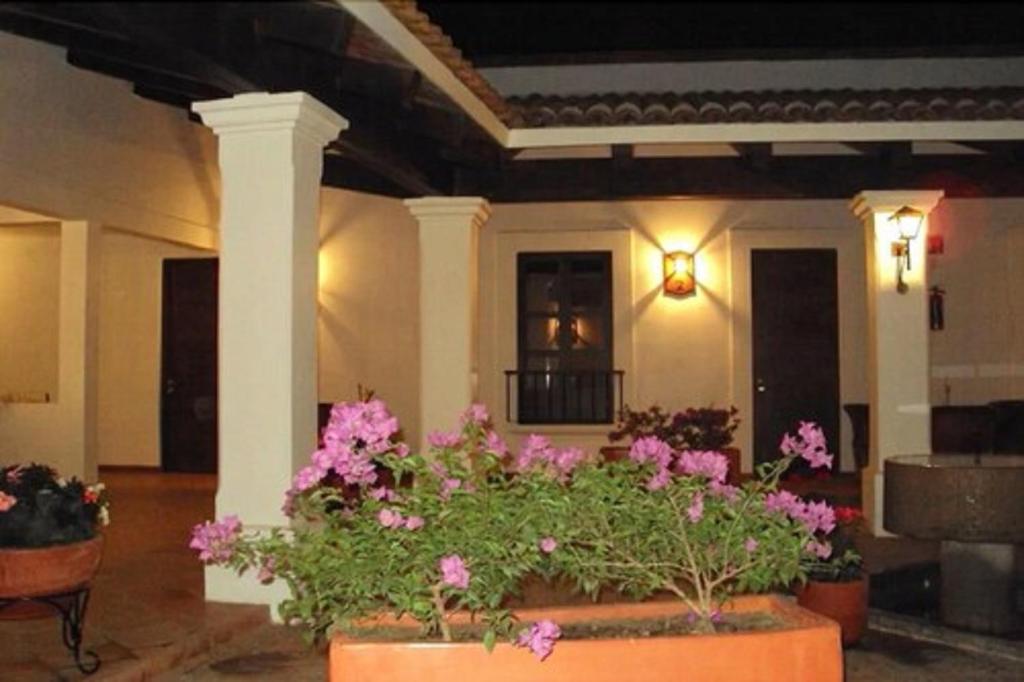 a lobby with a bunch of flowers in a pot at Hotel Posada Santa Rita in Mascota